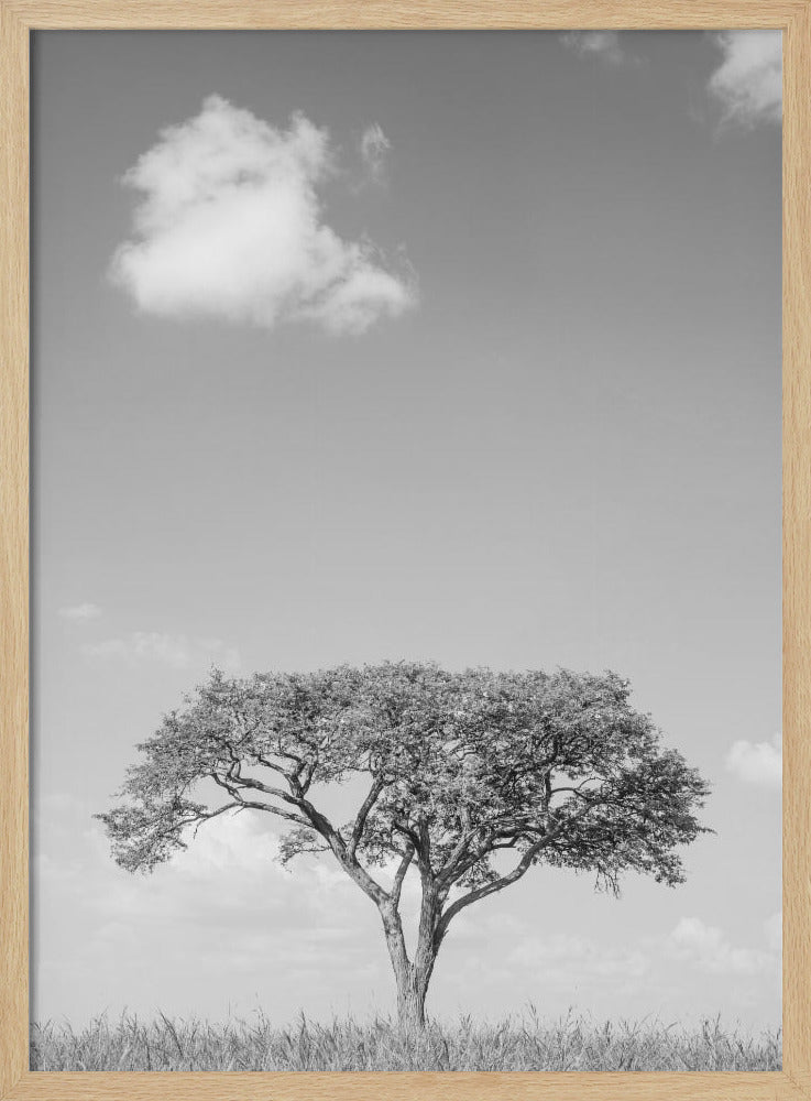 Camel Thorn Poster